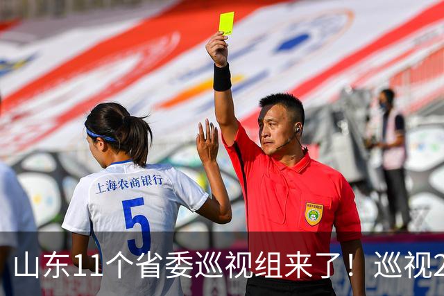 山东11个省委巡视组来了！巡视23个部门，联系举报方式公布！